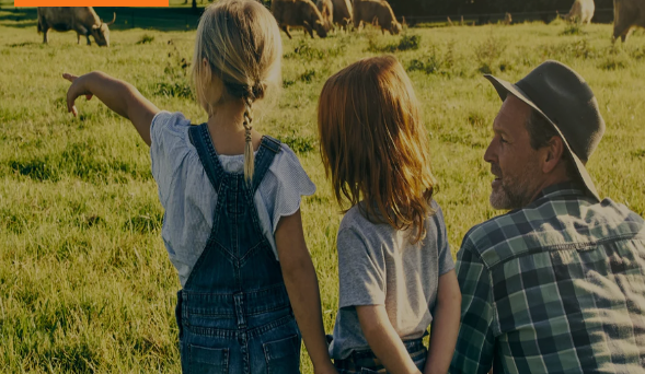 São Paulo Roundtable on Financing Deforestation- and Conversion-free Soy Production