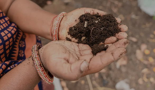 Yara: reducing fertilizer use through regenerative agriculture