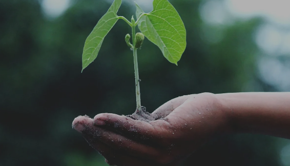 How Tikehau Capital supports the transition to regenerative agriculture